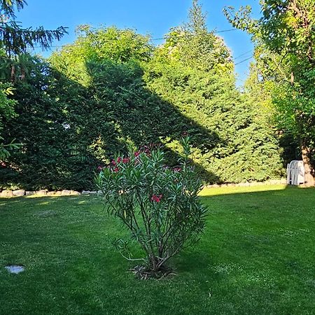 Fuered Deluxe Garden Apartment バラトンフレド エクステリア 写真