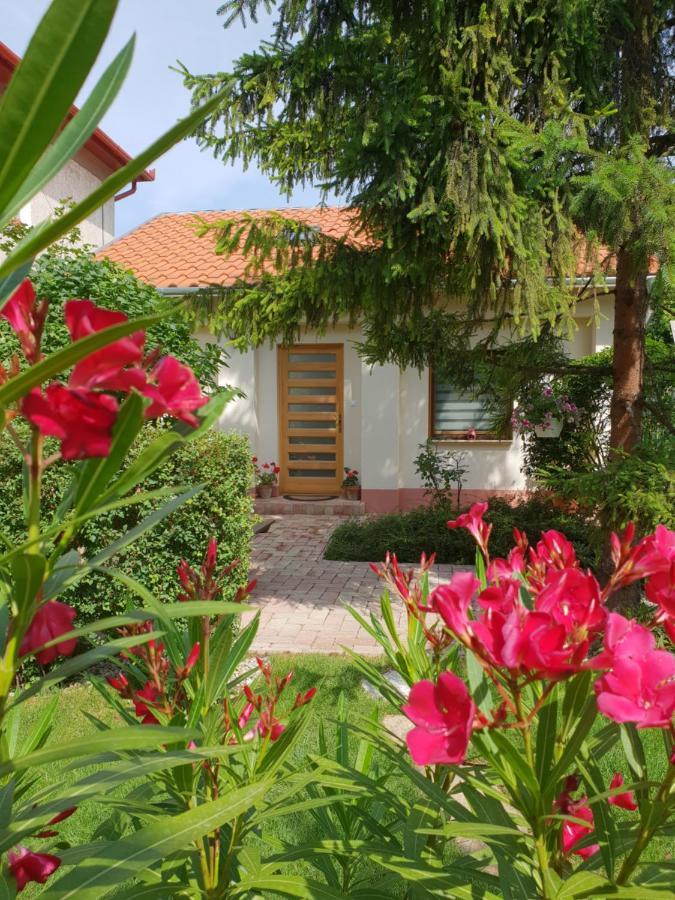 Fuered Deluxe Garden Apartment バラトンフレド エクステリア 写真