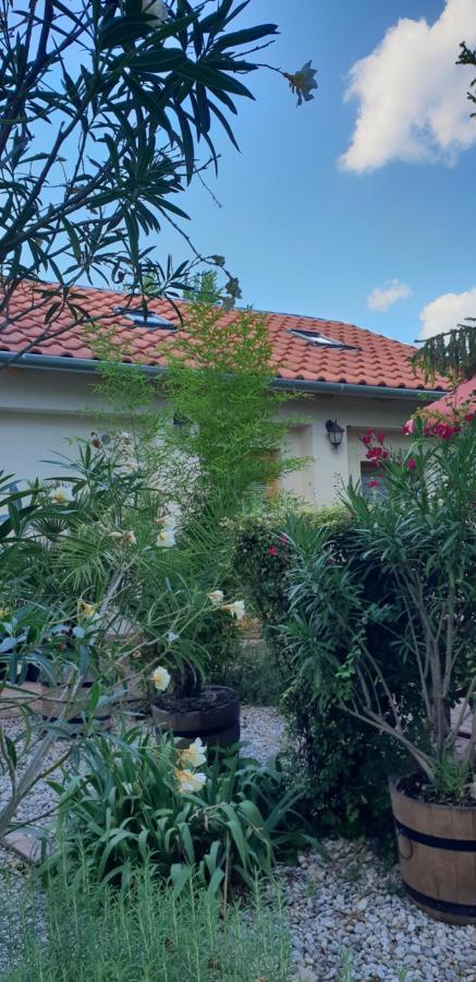 Fuered Deluxe Garden Apartment バラトンフレド エクステリア 写真