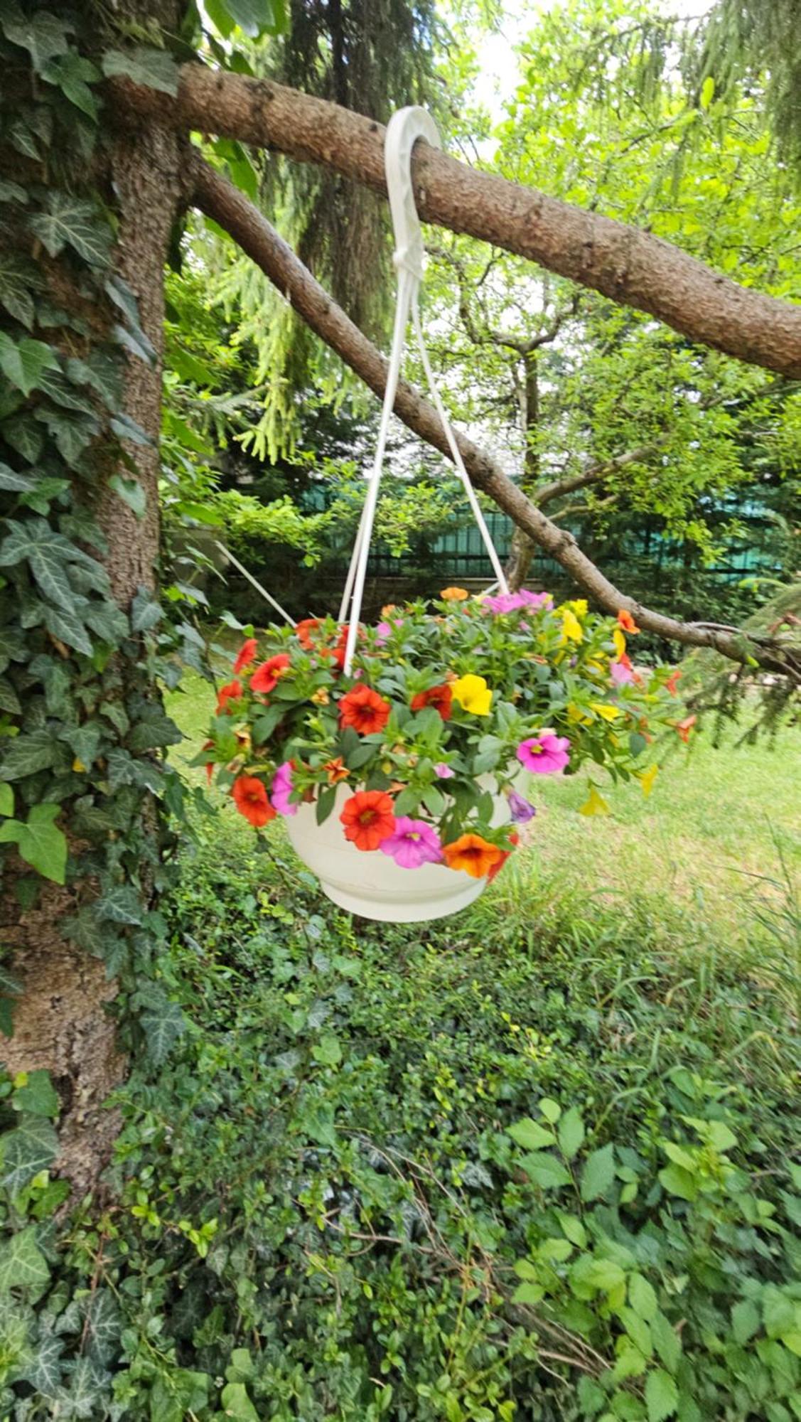 Fuered Deluxe Garden Apartment バラトンフレド エクステリア 写真